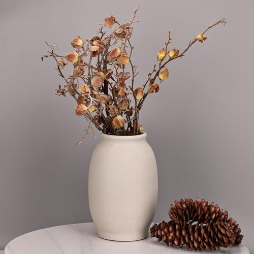 Vaso grande in ceramica rustica da 24 cm, vaso decorativo in terracotta bianca invecchiata, per decorare la casa, il tavolo, il soggiorno, la mensola, la decorazione del caminetto (Terra-B)