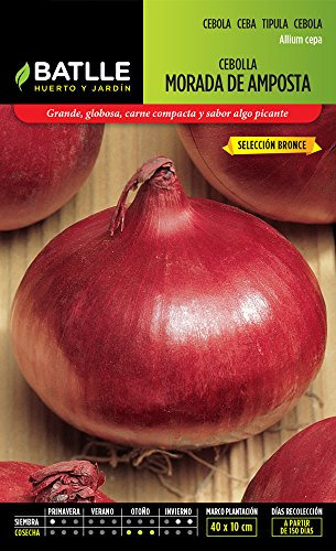 Semillas Batlle 011711G100 Cebolla Morada de Amposta Sel. Bronce