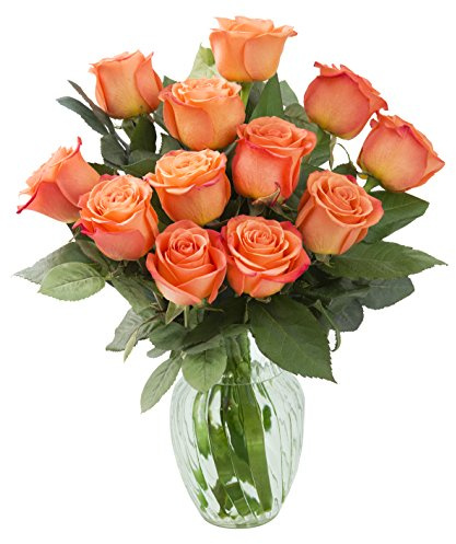 KaBloom - Bouquet of 12 Fresh Orange Roses with Vase - Fresh Flowers for Birthday, Valentine's & Mother's Day