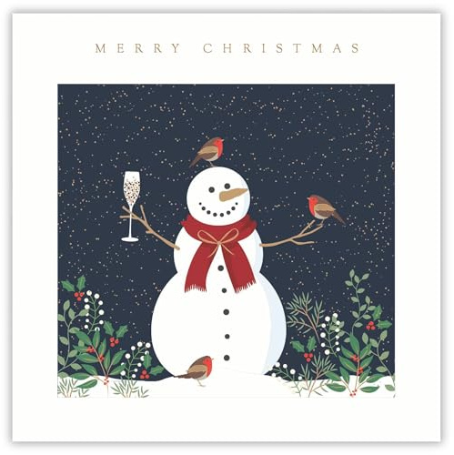 Tracks Publising - Paquete de 5 tarjetas navideñas de caridad, diseño de muñeco de nieve y petirrojos alegres, acabado de aluminio, paquete múltiple de tarjetas navideñas festivas, en ayuda de Rainbow