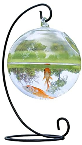 Poisson suspendu de bureau pour aquarium - Vase à fleurs - Boule en verre transparent - Forme ronde - Gain de place - Bols en verre avec support