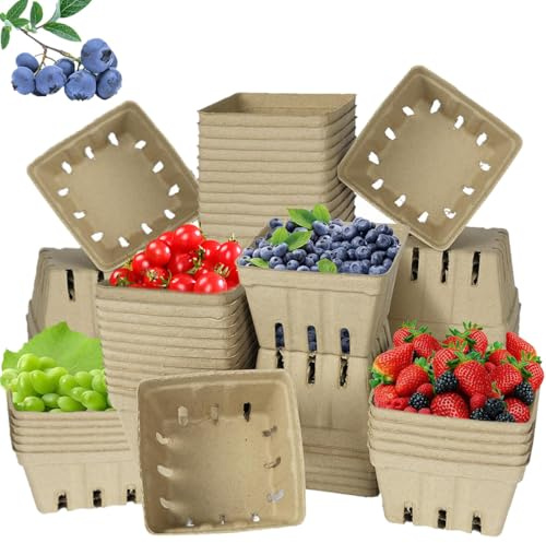 60 Pack Small Natural Pulp Fiber Berry Baskets – Eco-Friendly Vented Produce Containers for Strawberries, Blueberries, Raspberries, Fruits and Vegetables, Ideal for Grocery, Market, and Kitchen Use