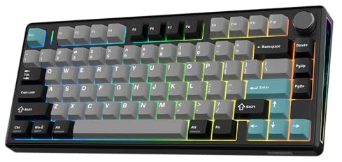 EPOMAKER TH80 V2 75% Teclado Gaming Mecánico Inalámbrico con Perilla, Negro | 8000mAh, 2.4G/BT, Hot-Swap, Tecla PBT, Modificador de Mac, RGB&Luz Lateral, Tecla Programable, Sea Salt Silent V2 Switch