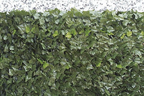 VERDELOOK Sempreverde® Point Siepe Artificiale 1.5x3 m, Foglia edera, Decorazioni Giardino