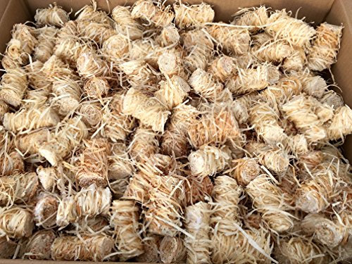 Accendifuoco in lana di legno e cera, per stufa, camino, griglia, legna da ardere, 10 kg