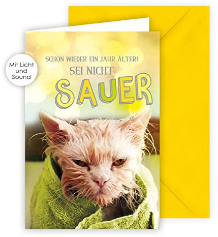 KE - Musikalische Geburtstagskarte mit Lichteffekten, Musikkarte, DIN B6 Klappkarte inklusive Umschlag, Geschenk für Katzenliebhaber, Motiv: Katze