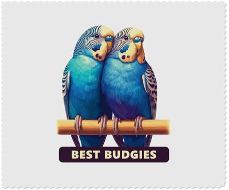 Azeeda 2 x 'Best Budgies' Lens Cleaning Cloths (LC00040093) | Microfibre Cloths for Glasses, Sunglasses, Phones, Cameras and Screens