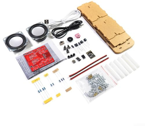 DIY Lautsprecher Bausatz Transparentes Gehäuse 2-Kanal Audio Kit mit MHM18 & 8002 Chip USB 5V Stromversorgung für Elektronik Basteln Lernen(with housing)