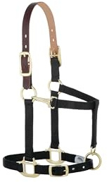 Weaver Leather Nylon Adjustable Breakaway Horse Halter, Large, Black