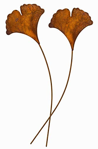 Blümelhuber 2er Set Gartenstecker Ginkgoblatt Metall Rost Gartendeko Edelrost
