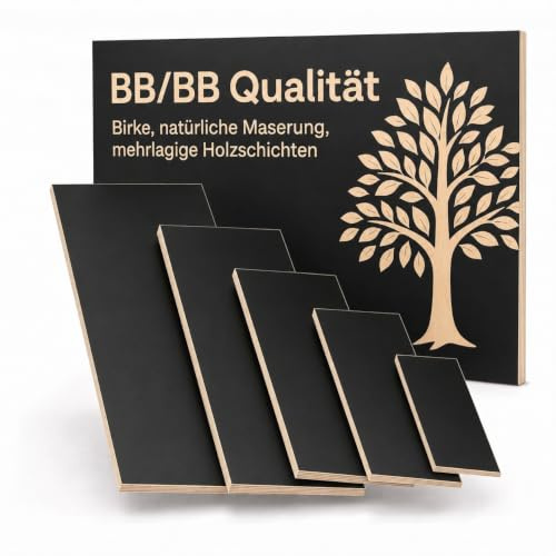 AUPROTEC 80x80 cm Multiplex Holzplatte aus Birke | schwarz | 18mm | Melaminbeschichtete Birke in BB/BB Qualität, robust und pflegeleicht. Ideal für Möbelbau, Werkstatt und DIY.