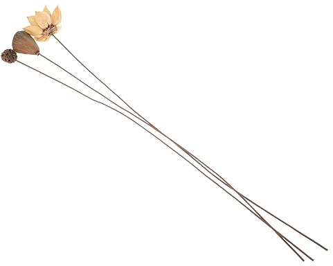 VILLCASE Composizione Floreale di Fiori di Loto Secchi Gambi, Decorazione per Interni Naturale ed Elegante, Conservazione Duratura senza Manutenzione, per Ufficio e Feste