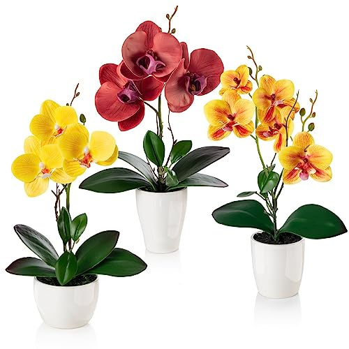 PASCH® Fiori artificiali in vaso (35 cm) - Set di 3 orchidee artificiali in composizione coordinata in vasi di ceramica lucidi, fiori artificiali decorativi, orchidee artificiali (Rosso Arancione