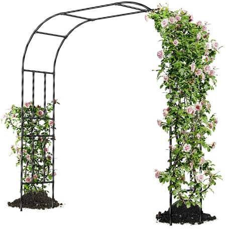 Caroeas Arche de Jardin pour Plantes Grimpantes,180x240x40cm，Arceau Métallique pour Rosiers, Tonnelle Décorative Extérieure, Résistante à la Rouille et à la Décoloration