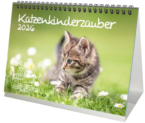 Kattbarnmagi DIN A5 bordskalender för 2026 kattbarn kattbebisar – själamagi