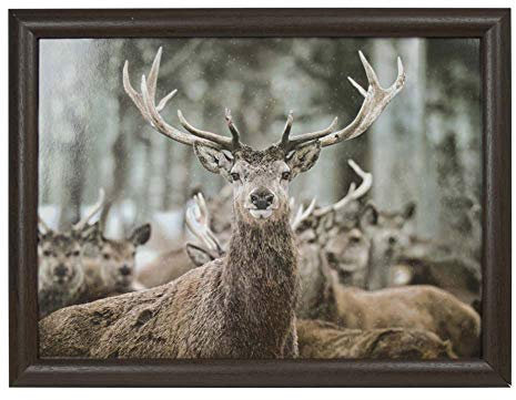 Knietablett Lapdesk mit Winter Hirsch 43x33x7 cm