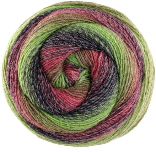 LANA GROSSA Gomitolo Versione | Dochtgarn mit Farbverlauf | Handstrickgarn aus 60% Schurwolle & 40% Polyacryl | 200g Wolle zum Stricken & Häkeln | 700m Garn FB 449