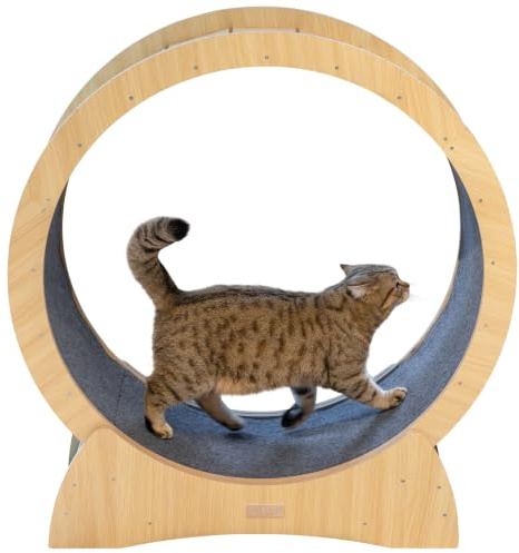 Kerbl Pet Katzenlaufrad, MDF-Holz, Polyester, 90 x 34 x 97 cm, mit Teppichbelag, geräuscharm, mit Feststellbremse | 90 × 34 × 97 cm, MDF-Holz mit Teppichbelag, geräuscharmer Lauf und integrierte Feststellbremse