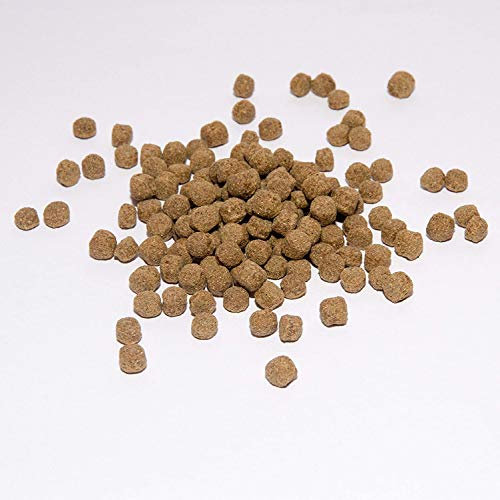Warnick´s Tierfutterservice Fischfutter Koi - Koifutter Wheatgerm, 5kg in 6mm Pellets, für Frühjahr & Herbst, Teichfutter schwimmend, Teichfischfutter
