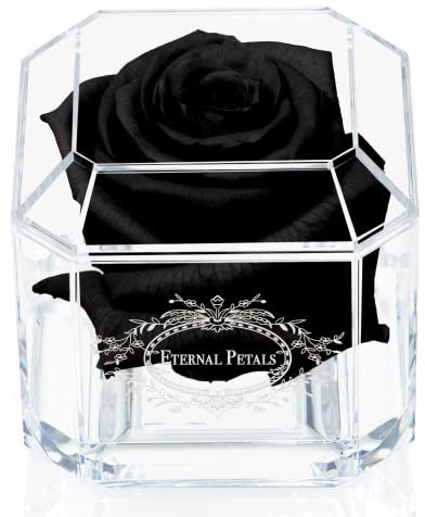 Eternal Petals A 100% Real Rose That Lasts Years, Handmade in UK – White Gold Solo (Black)