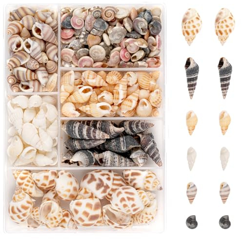 Ailvor 100 Stück Muscheln zum Basteln,Natürliche Muscheln Gemischt | Ungebohrt für Armbandschmuck, Vase Füllstoffe, DIY Kunsthandwerk