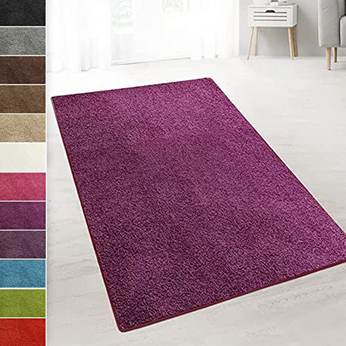 casa pura Teppich Wohnzimmer Berry Flauschiger Teppich 66x300cm Läufer, weicher Wohnteppich Deko für Schlafzimmer, Kinderzimmer, Flur mit antirutsch Unterseite, Shaggy Hochfloor Barcelona
