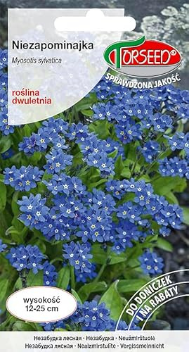 Verdica förgätmigej myosotis sylvatica frön – tvåårig med delikata blå blommor, perfekt för sängar och krukor, frodas i fuktig mark, sådd juni-juli (0,5 gram)