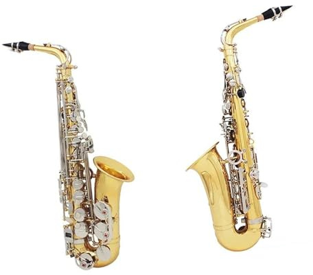saxophon Gold Silber Altsaxophon E Flat Altsaxophon Holzblasinstrument Für Anfänger