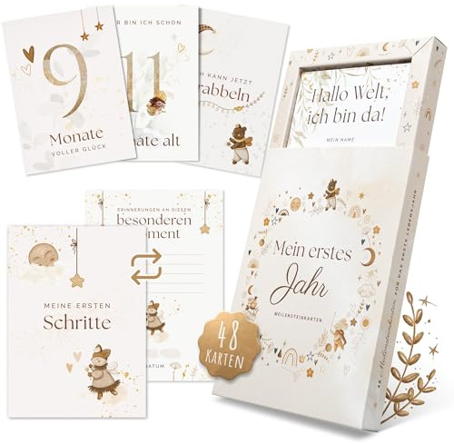 EULENTALER® 48 Meilensteinkarten Baby I Scandi Stil I Von Pädagogen gestaltet I Handgemalte Illustrationen I Monatskarten für Meilensteine als Geschenk zur Geburt & Babyparty