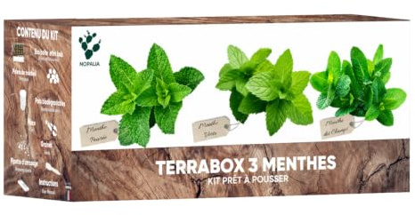 Kit de Culture Terrabox 3 Menthes – Menthe Poivrée, Verte & des Champs – Prêt à Planter avec Pots, Pastilles de Tourbe, Pince & Pipette – Idée Cadeau Jardinage Intérieur/Extérieur