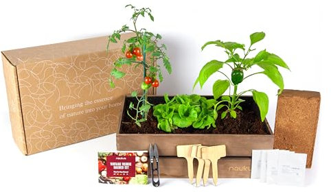 Mini Huerto Urbano Vintage - Semillas Orgánicas de España - (Lechuga, Rábanos, Pimientos Verdes y Tomates Cherry) - Kit Completo para Cultivar tus Hortalizas Frescas en Casa