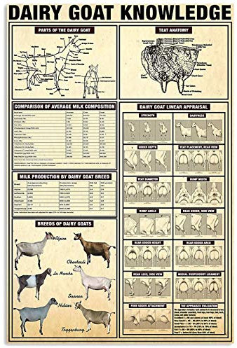 Letreros metálicos con información sobre cabras lecheras, pósteres de razas de cabras lecheras, guía de estudio para pastores, placas, decoración de pared para la casa de campo, 8 x 12 pulgadas