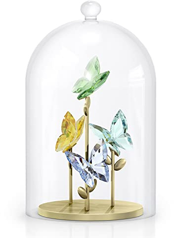Jungle Beats Butterfly Bell Jar 5619219