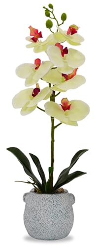 Artificial Orchid Flowers – Realistic Faux Orchids in Stone-Like Pots for Home & Office Decor, 8 Blooms (Lemon)