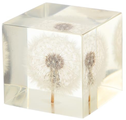 Amosfun Sfera di Cristallo Personalizzabile in Resina, Cubo Decorativo Soffione, Ornamento da Scrivania per Ufficio e Casa, Regalo Raffinato