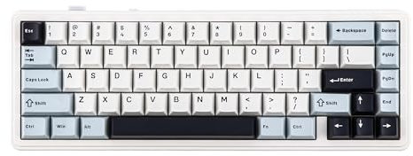 EPOMAKER x AULA F65 65% Wireless Mechanical Keyboard, Gasket Custom Gaming Keyboard Hot Swap with RGB, Bluetooth/2.4G/USB, lubed Linear Switches (Light Blue, Graywood V3 Switch)