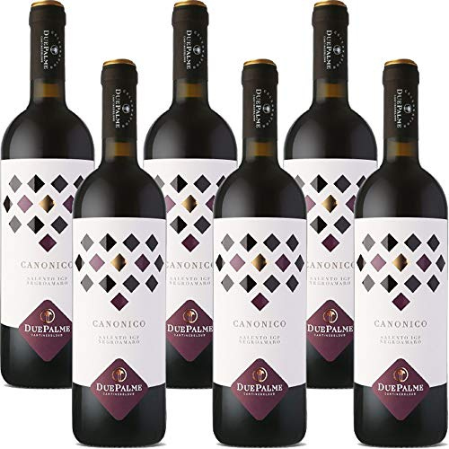 Canonico Negramaro Salento IGP | Cantina Due Palme | Confezione da 6 Bottiglie da 75 Cl | Vino Rosso del Salento | Idea Regalo
