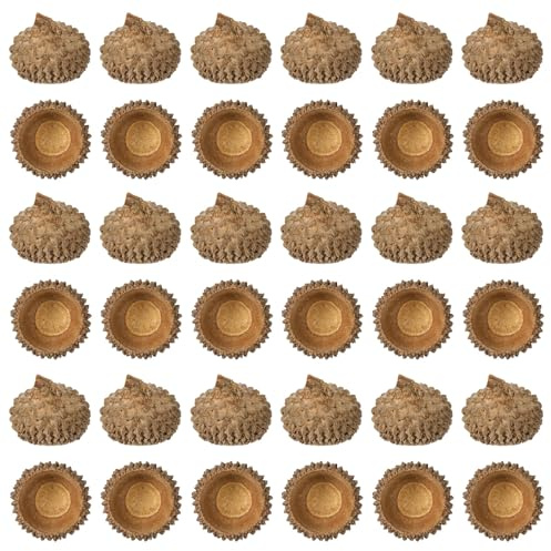 COHEALI 150 Pezzi Cappelli di Ghiande Naturali da 1-2,5 Cm, Riempitivi Decorativi per Vasi Autunnali, Addobbi Natalizi Fai da Te, Accessori per Decorazioni Casa e Tavola Ringraziamento