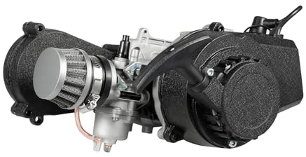 Qussse 49CC 2-Takt Motor Kit, 3 PS Einzelzylinder Mini-Motor Dirtbike Motor mit 1.2L Kraftstofftank und T8F-Kette, Seilzugstart, für Pocket Bike Mini-Dirtbikes Strandbikes ATV
