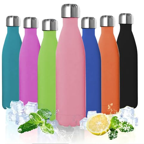 ProBytes Stainless Steel 750ml Water Bottle - Thermal Vacuum Insulated Flask, Double Wall BPA-Free Material, Upto 12/24 Hrs Hot/Cold, Leak-Proof, Sports, Office, Gym, Travel, Unisex - Matte Pink