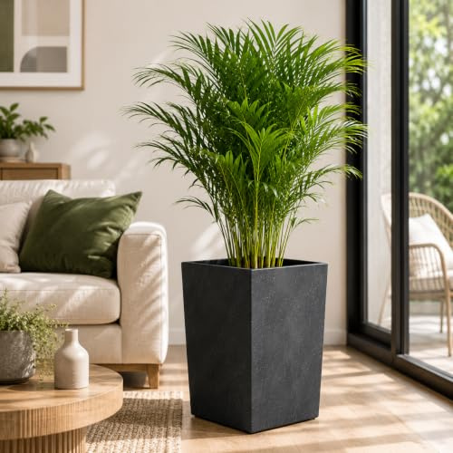 Gordanluk Square Planter Concrete effect plant pot Designed Flowerpot with plant riser extra large plant pots indoor plant pots outdoor flower pot (Concrete Black, 25cm x 25cm)