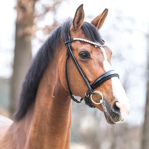 Kavalkade Trensenzaum Florina rundgenäht mit Lack-Reithalfter (Warmblut, schwarz)