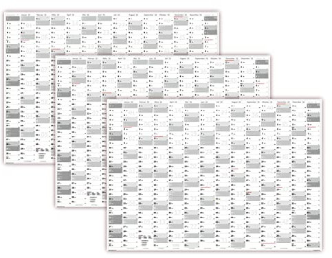 3 Stück XXL Wandkalender DIN A0 2025 (grau2) große Tageskästchen (Kalender werden gerollt versendet)