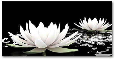 Tulup Splashback 47.24x23.62 inch / 120x60 cm Splash back Kitchen Panel Toughened Safe Glass Tempered Glass Kitchen Protection Induction Cooker Wall Protection Glass Panel - White - water lilies