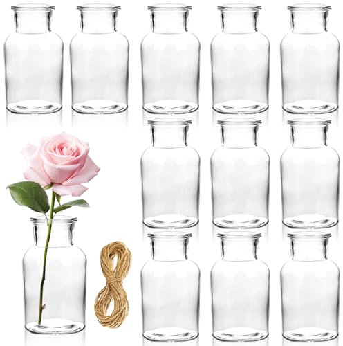 Duscdesp 12 Pcs Small Flower Vase,Mini Glass Vase for Flowers,Bud Vases Mini Vases for Table Wedding Party Home Decoration