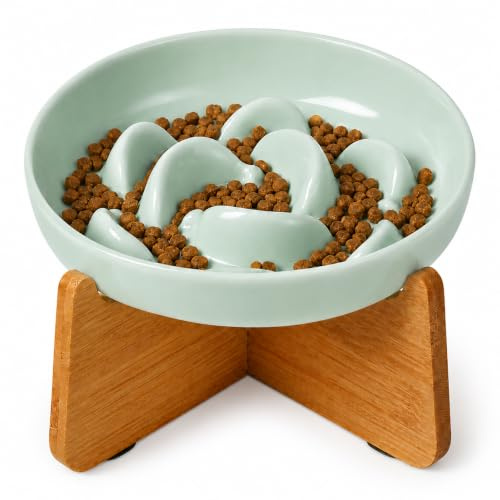 Gamelle Anti Glouton Chat Surélevée - Gamelle Mélamine avec Support en Bambou Antidérapant - Bol Chat pour Alimentation Lente - Série Pastel avec Motif Labyrinthe - Vert Menthe
