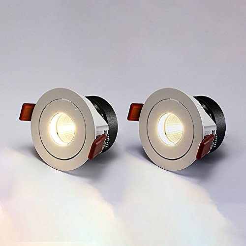 TXCLTS Spotlight del soffitto a LED 7W Illuminazione da Incasso Interno, 2 pacchi a sfioramento a sfioramento del soffitto Accento in Alluminio Light Light, Spotlight direzionale per Il corridoio