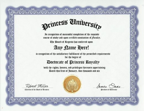 Princess Degree: Custom Gag Diploma Doctorate Certificate (Funny Customized Joke Gift - Novelty Item)