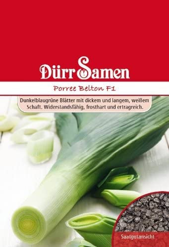 Porree Samen Lauch Samen Belton F 1, Allium porrum, ca. 50 Korn Lauchsamen Porresamen Frosthart Saatgut Garten Dürr Samen