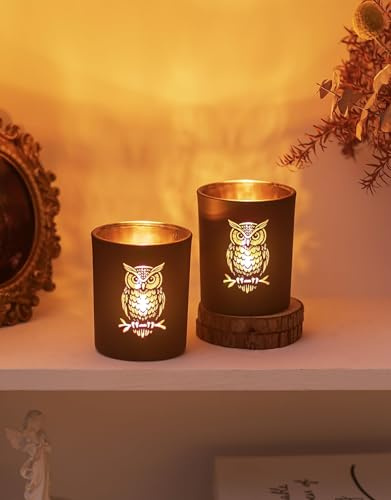 Romadedi Eulen Teelichthalter aus Glas, 2er-Set, Schwarz Gold | Zwei Teelichtgläser mit Eulenmotiv, für Wohnzimmertisch Fensterbank oder als Geschenk für Eulenfans Frauen